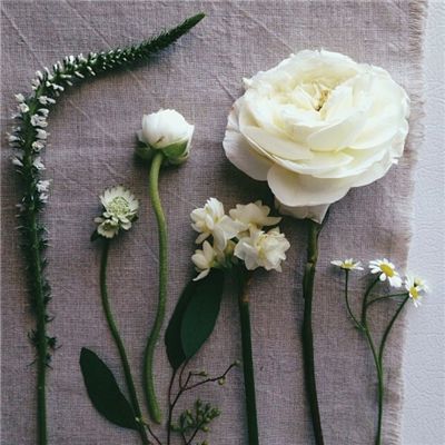 中欧体育app下载入口截图